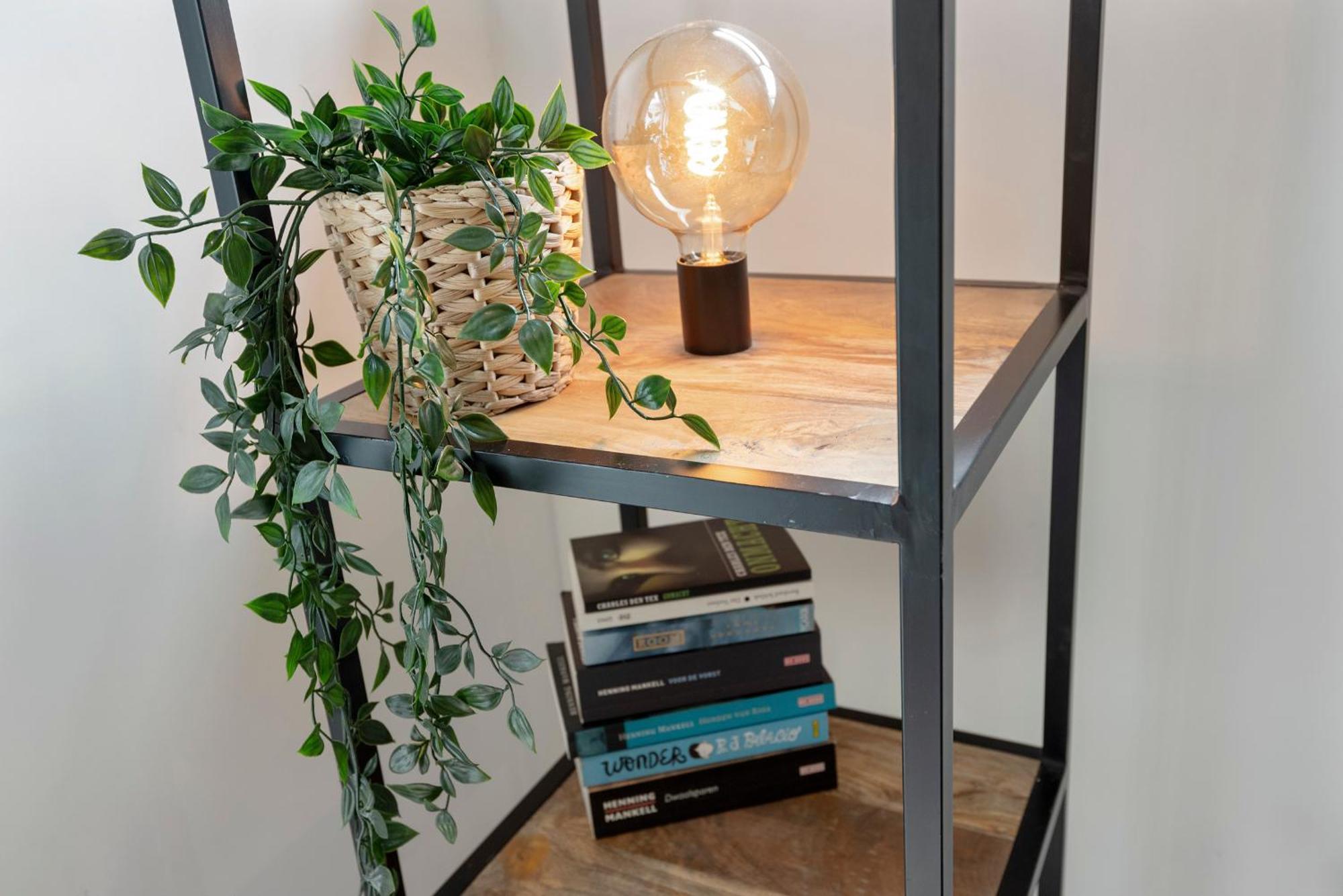 Amsterdam Dunes Holiday Home ザントフォールト エクステリア 写真